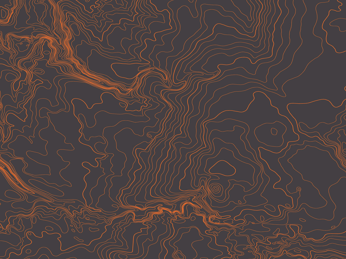 Topo Sheet Vinyl Wrap
