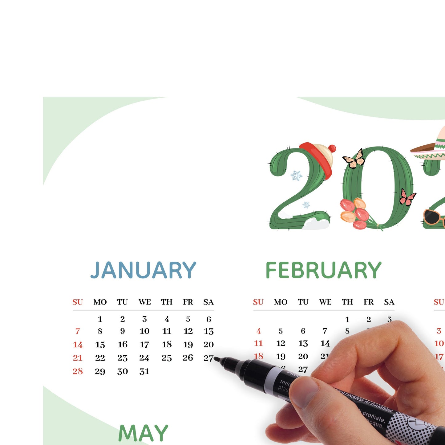 2024 Calendar: Cactus Dry Erase - Removable Adhesive Decal