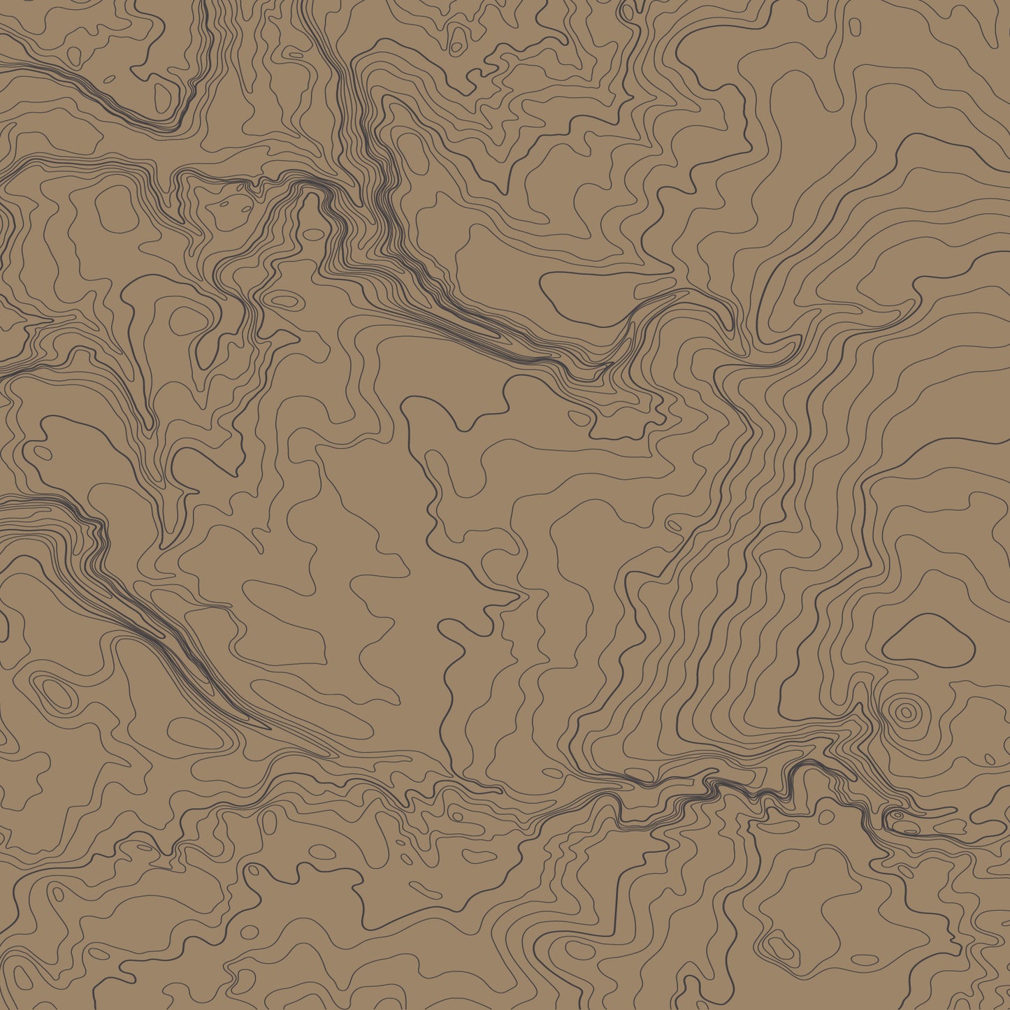 Topo Sheet Vinyl Wrap